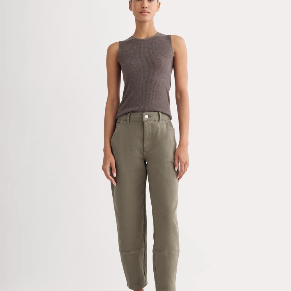 Everlane Brown Barrel Leg Pants in Cocoa colour (the model is wearing green)